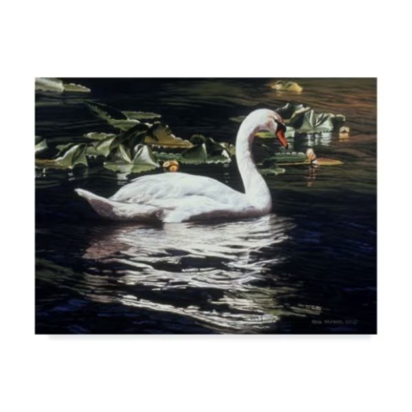Ron Parker 'Mute Swan And Lily Pads' Canvas Art, 18x24, Trademark Fine Art, Mfr#: ALI32532-C1824GG